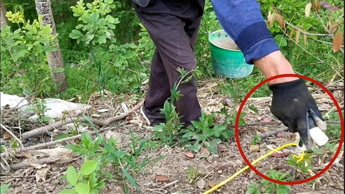 一天轻松赚200元,电蚯蚓为何如此"暴利"?