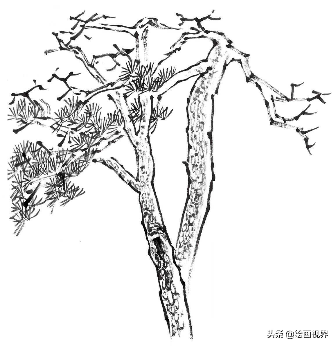 画国画树不会画？教你常见树的画法，简单易学，收藏起来临摹学习