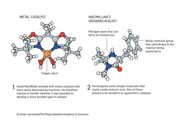 2021诺贝尔化学奖:mRNA 陪跑,给了这个或将改变制药和电池的研究