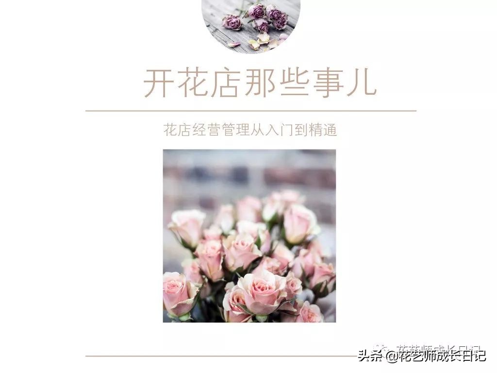 送几朵玫瑰花的含义和意思，66朵玫瑰花代表什么寓意