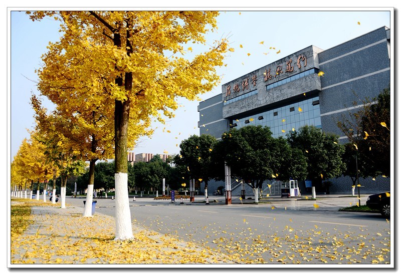 成都中医药大学本科录取4900人，五大学院录取64%，临床医学占17%