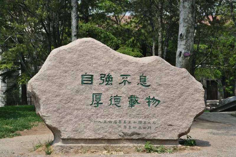 达摩院青橙奖哪家强？