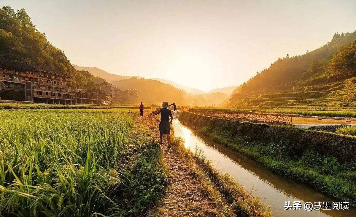 《桃花源记》人间仙境：芳草鲜美，落英缤纷