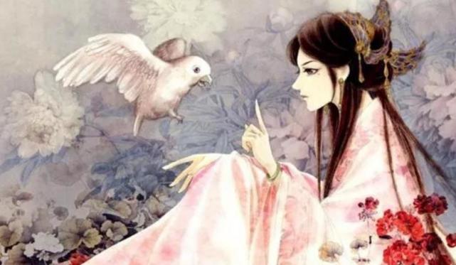 继《大奉打更人》后，这几本后宫流小说也让人眼前一亮，错过可惜
