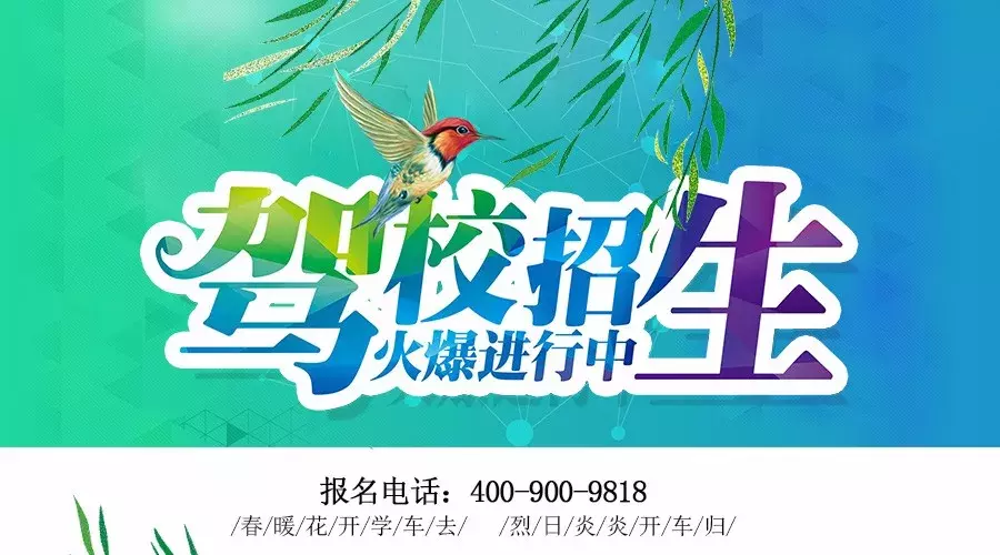 学驾照：仅需2900！！!