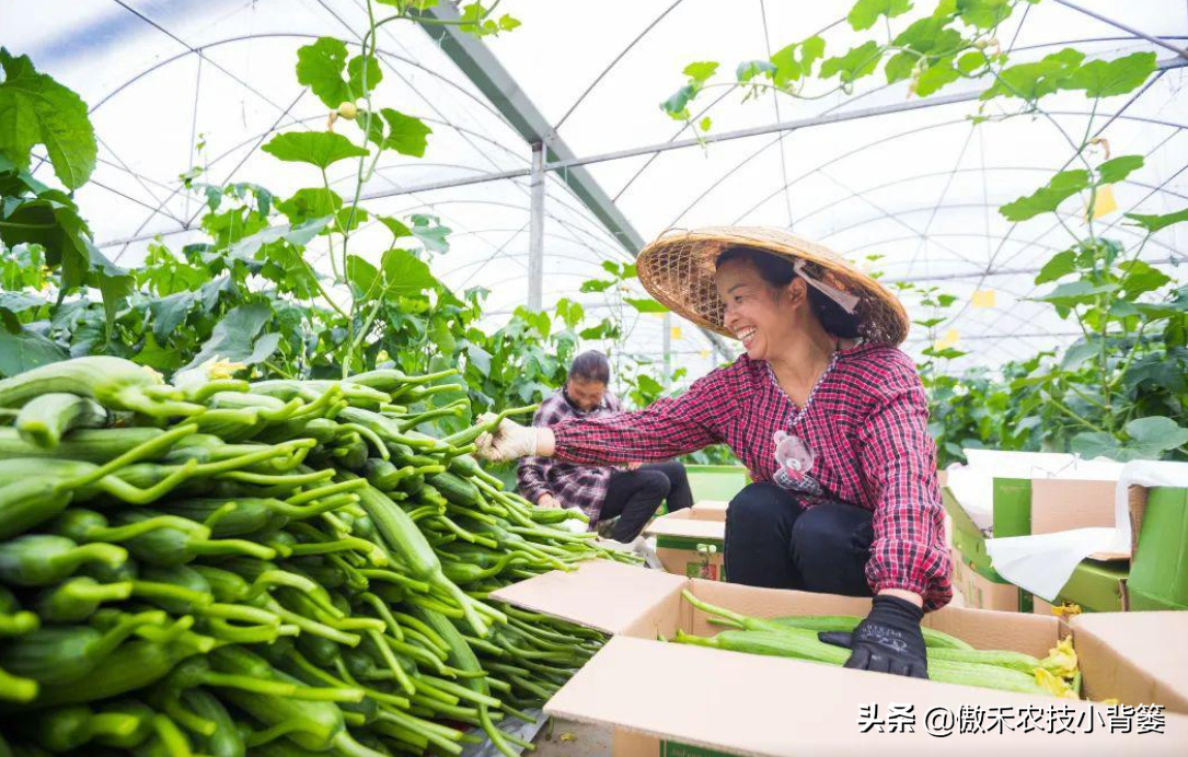 氯化铵是酸性还是碱性（氯化铵使用的7个注意事项）