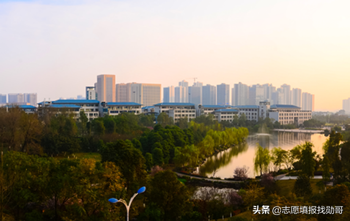 重庆大学是985吗（西南）