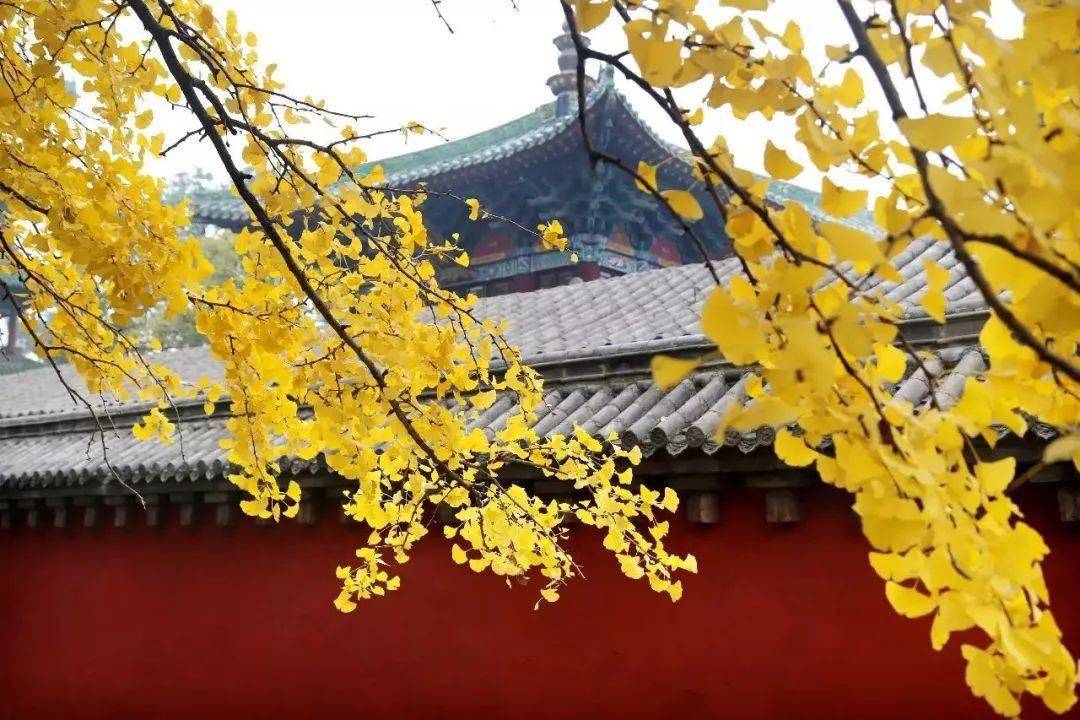 郑州这10个绝佳赏秋地，风景绝美，很多地方都还免费