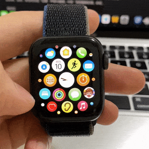 watchOS 8 推出首个公测版，你的苹果手表有了这些新功能