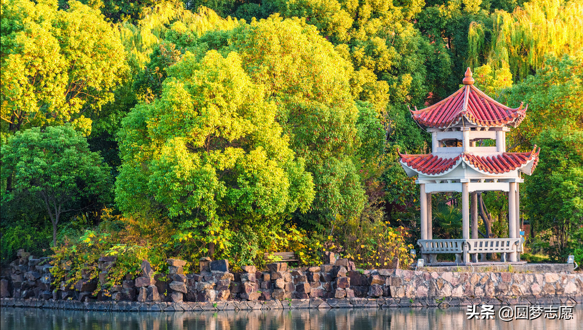 想学口腔医学专业报什么大学好？这4所顶尖院校，考上就不愁就业