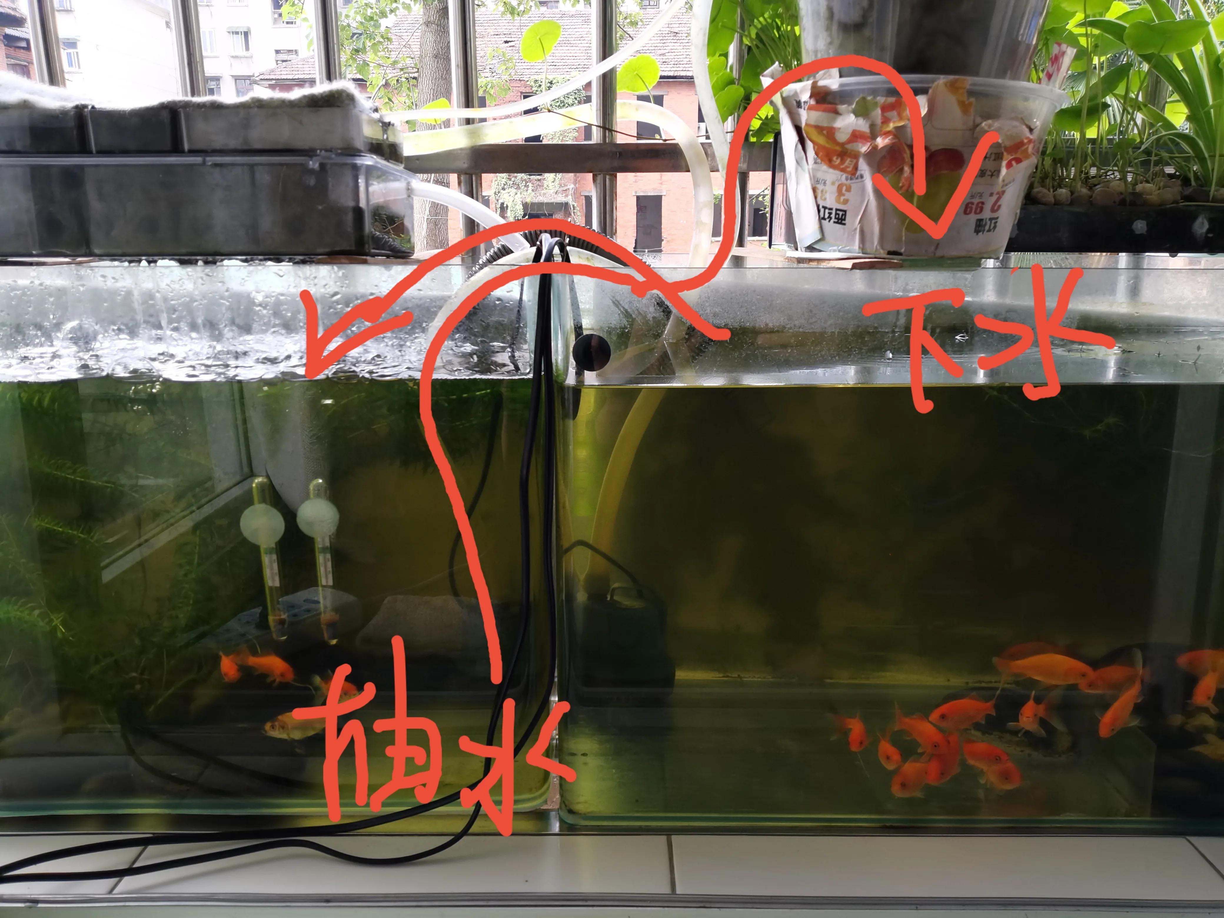 水族箱制作水族箱