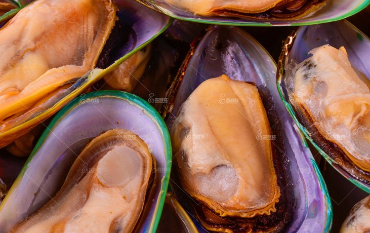 青口的功效与作用(再不吃青口贝) - 行就行