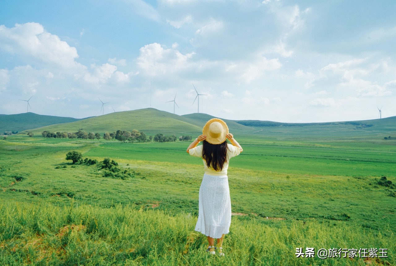 承德坝上，想和你潜入森林漫步草原，看日出日落，雨疏星骤