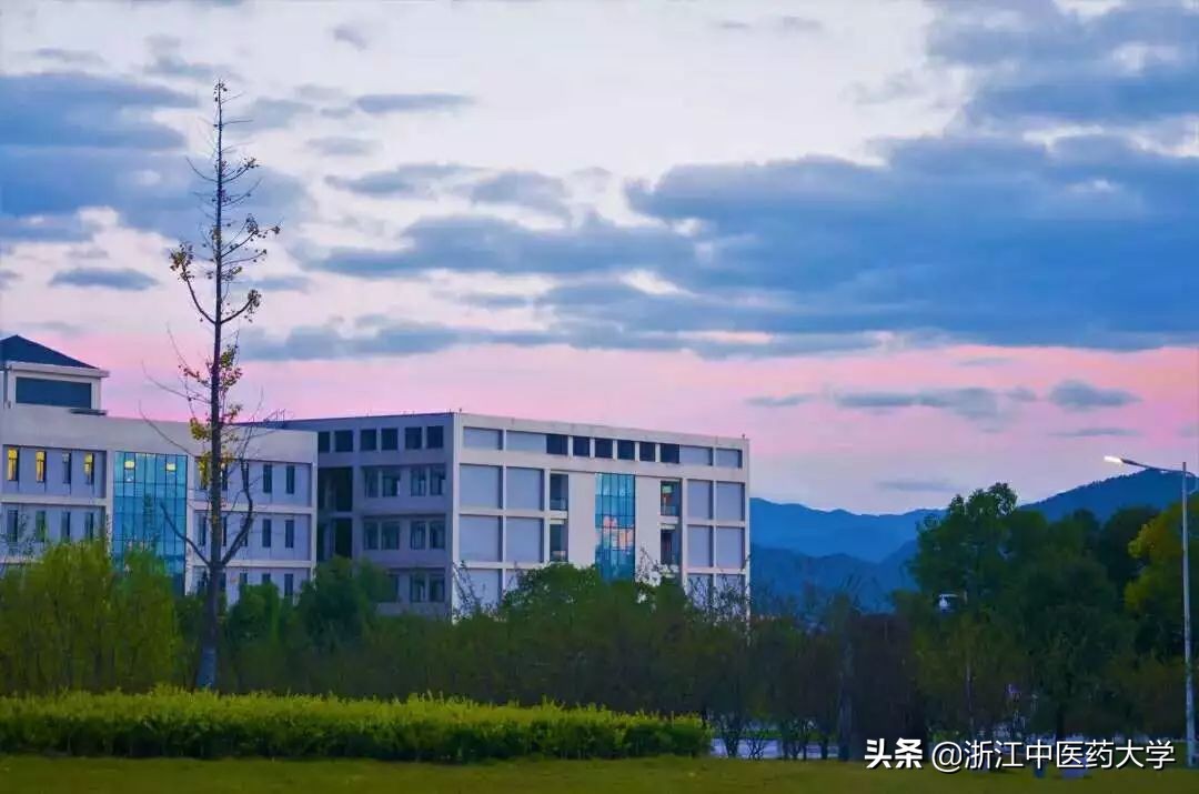 权威发布！浙江中医药大学滨江学院2019年本科招生章程