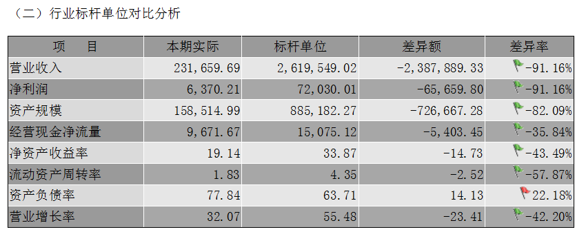 企业年度财务分析报告（案例分析）超详细