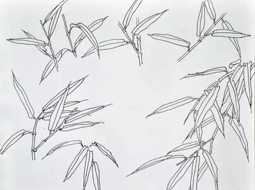 竹子简笔画好看又简单，竹子的画法步骤教程