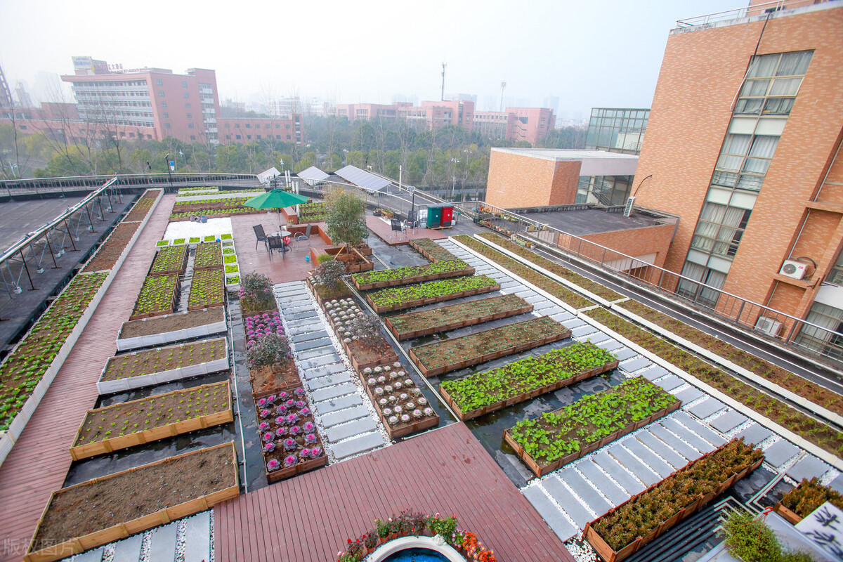 这5所高校改名很成功，从小有名气到区域知名高校，实力增强很快