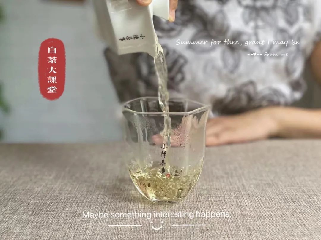 为什么说，白瓷盖碗才是最实用的茶具？3点道出精髓