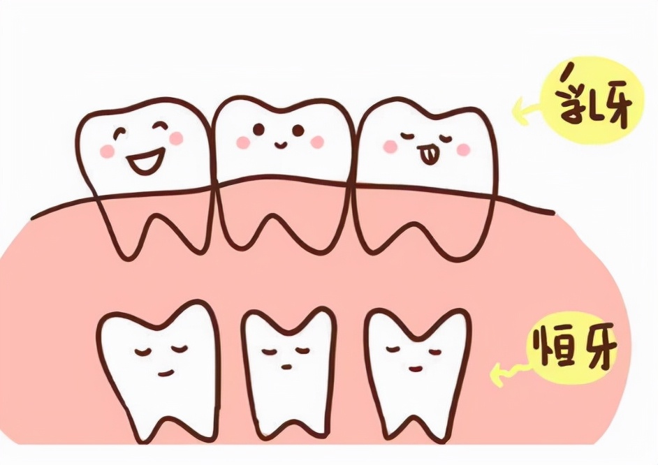 你家宝宝换牙时间都符合标准吗?
