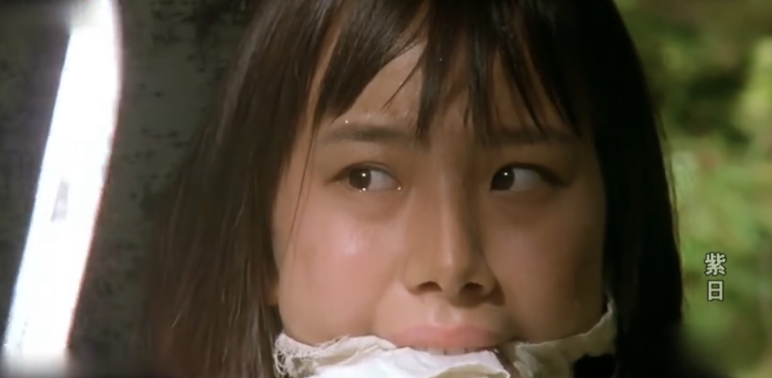 紫日电影剧情「简介」 _晶羽科技