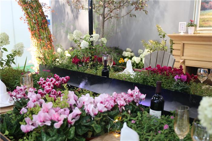 一起盘点北京国际花展上的亮点花卉产品