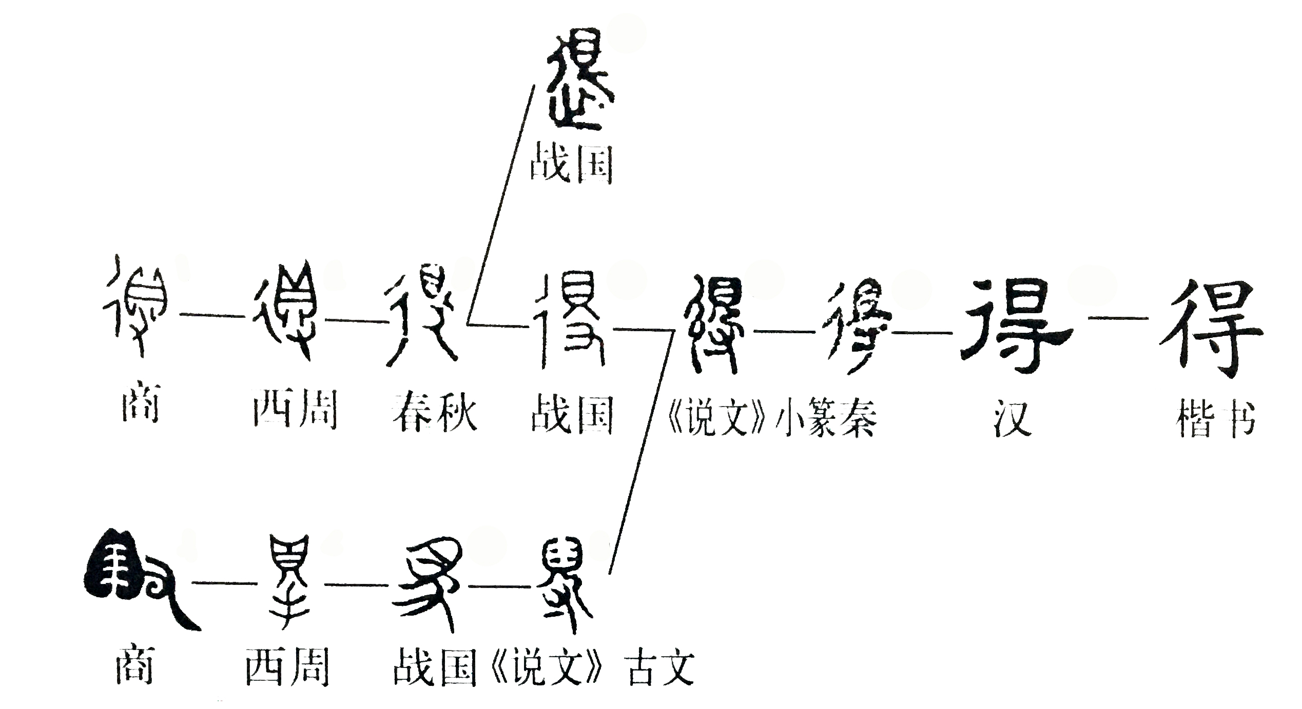 得字甲骨文,现代_大山谷图库