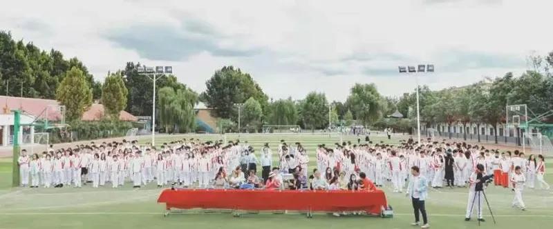 康福国际诚招中小学各科教师