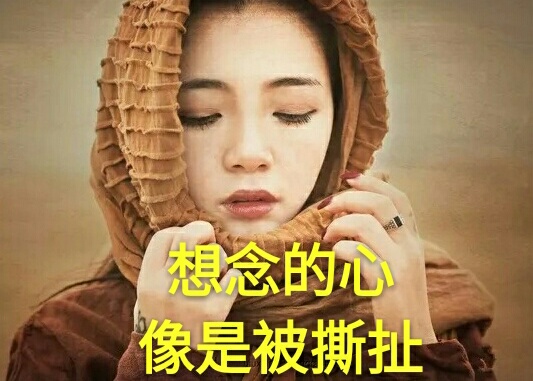 情深难舍难分，心系彼此难分离