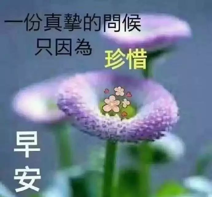 只要用心，生活中的美和喜悦便会不请自来，早安