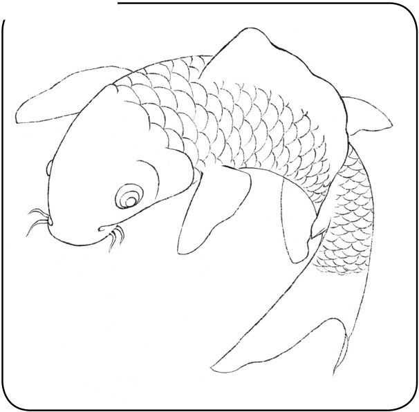 中国画零基础入门教程:分步骤讲解三种鱼类画法,简单易学的国画