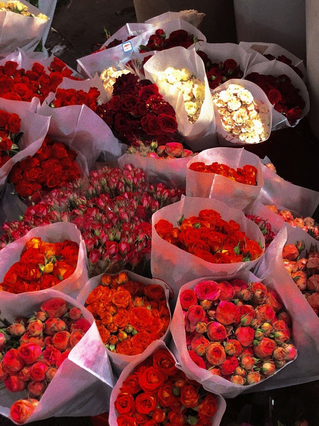 大学美术鉴赏论文（原创论文分享）