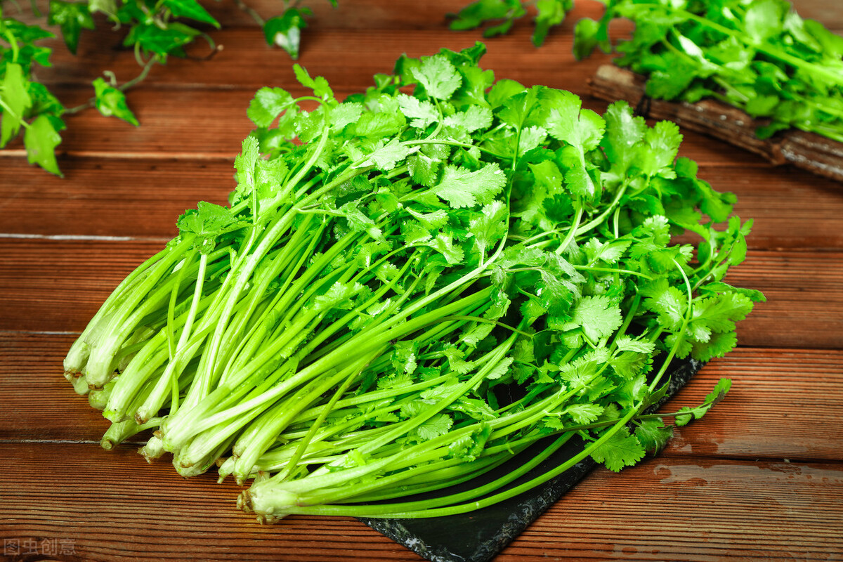 香菜保鲜妙招：轻松延长新鲜期不发黄腐烂
