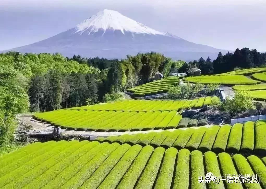 乡村振兴专题研究报告：钱从哪里来？