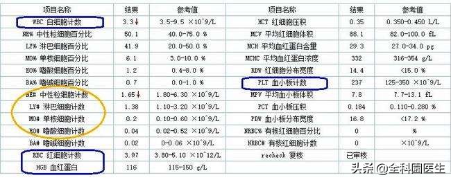 为什么一到医院就要查血常规，医生告诉你真相