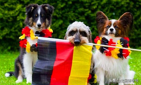 德国留学申请条件