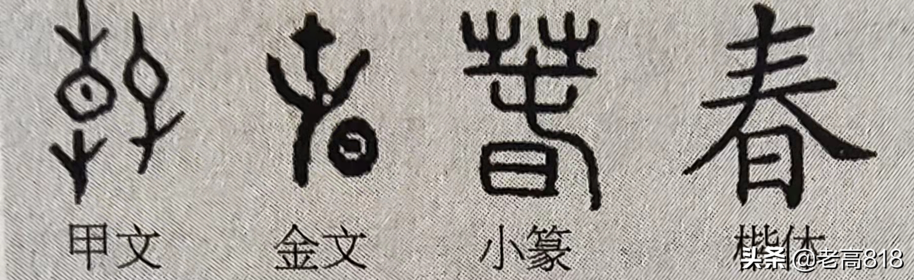 春夏秋冬无闲事，平常心自道中来