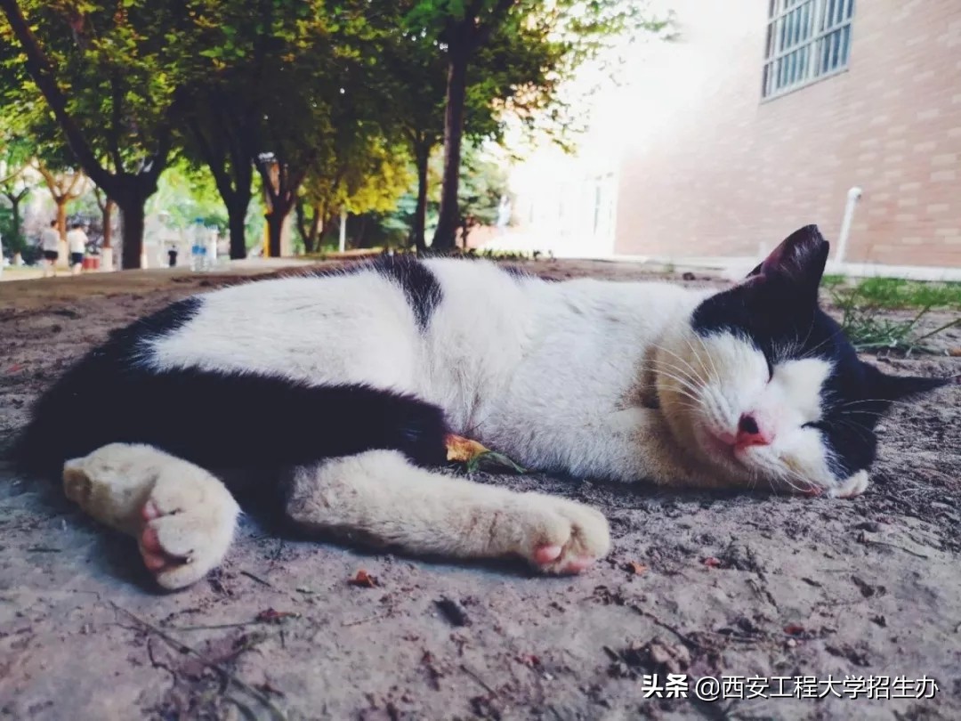 为什么选择西安工程大学，这7个理由足够吸引你