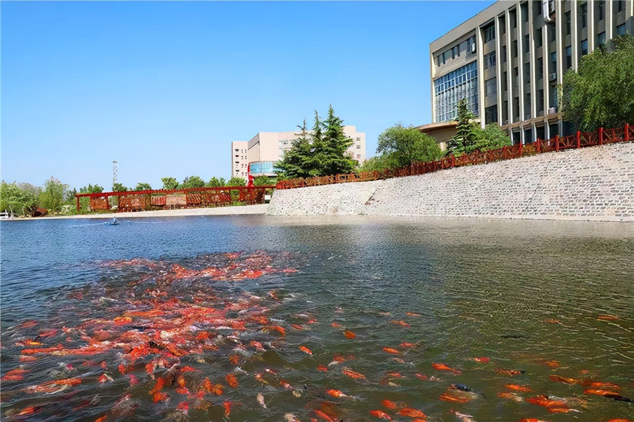 看起来像公办大学的民办高校