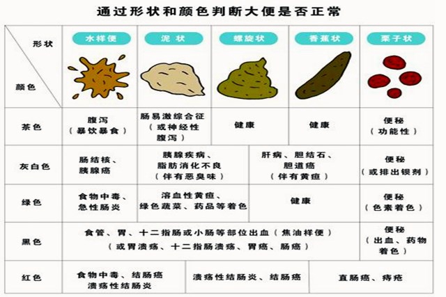 宝宝的便便“暗藏玄机”可了解宝宝健康状况，关于便便妈妈要读懂