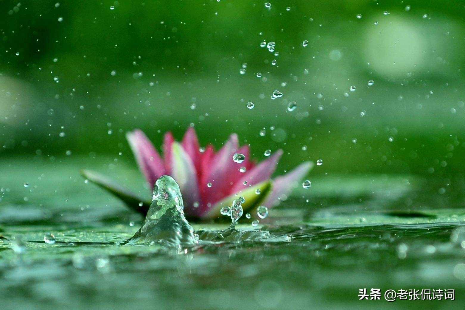 李商隐《夜雨寄北》最温柔场景：何当共剪西窗烛，却话巴山夜雨时