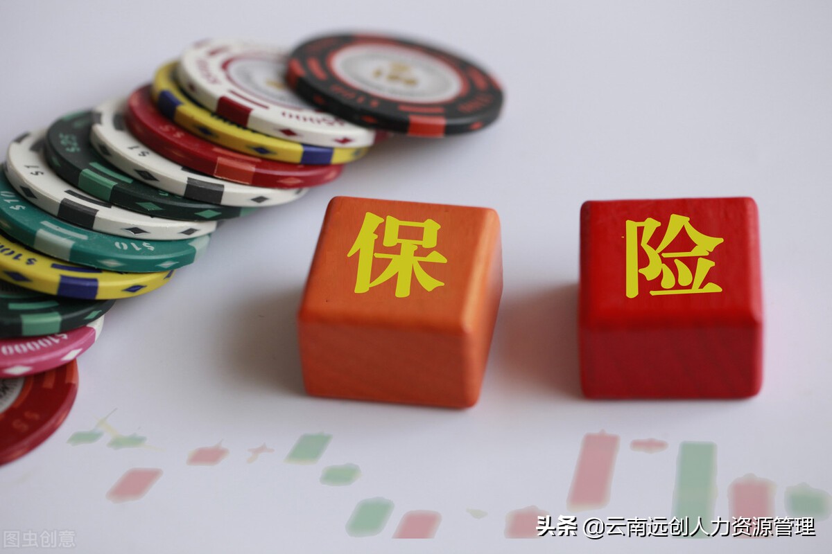 补充医疗保险怎么报销？11种不予报销的情形