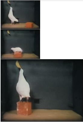 《无姓之人》：无限烧脑的科幻经典，只因我们都被遗忘天使亲吻过