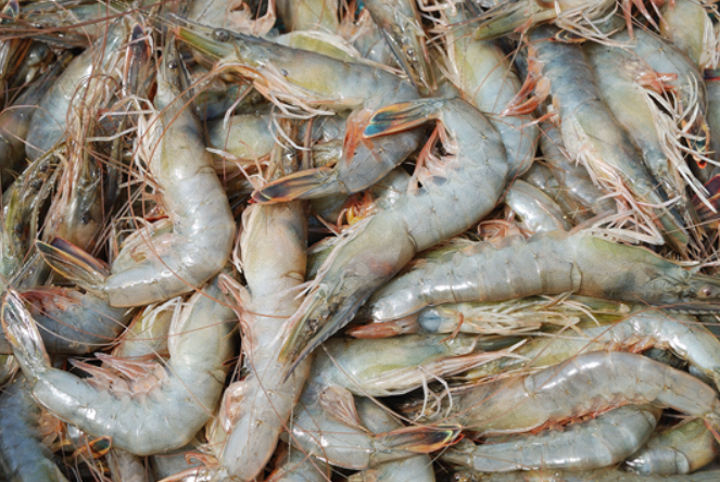 年夜饭大虾就该这样吃！简单美味好红火，上桌瞬间秒光，全家都称赞