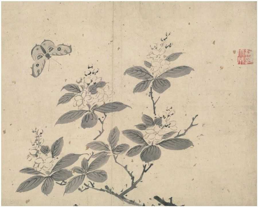 中国画入门宝典，走进中国写意画，用通俗的语句讲解中国写意画！