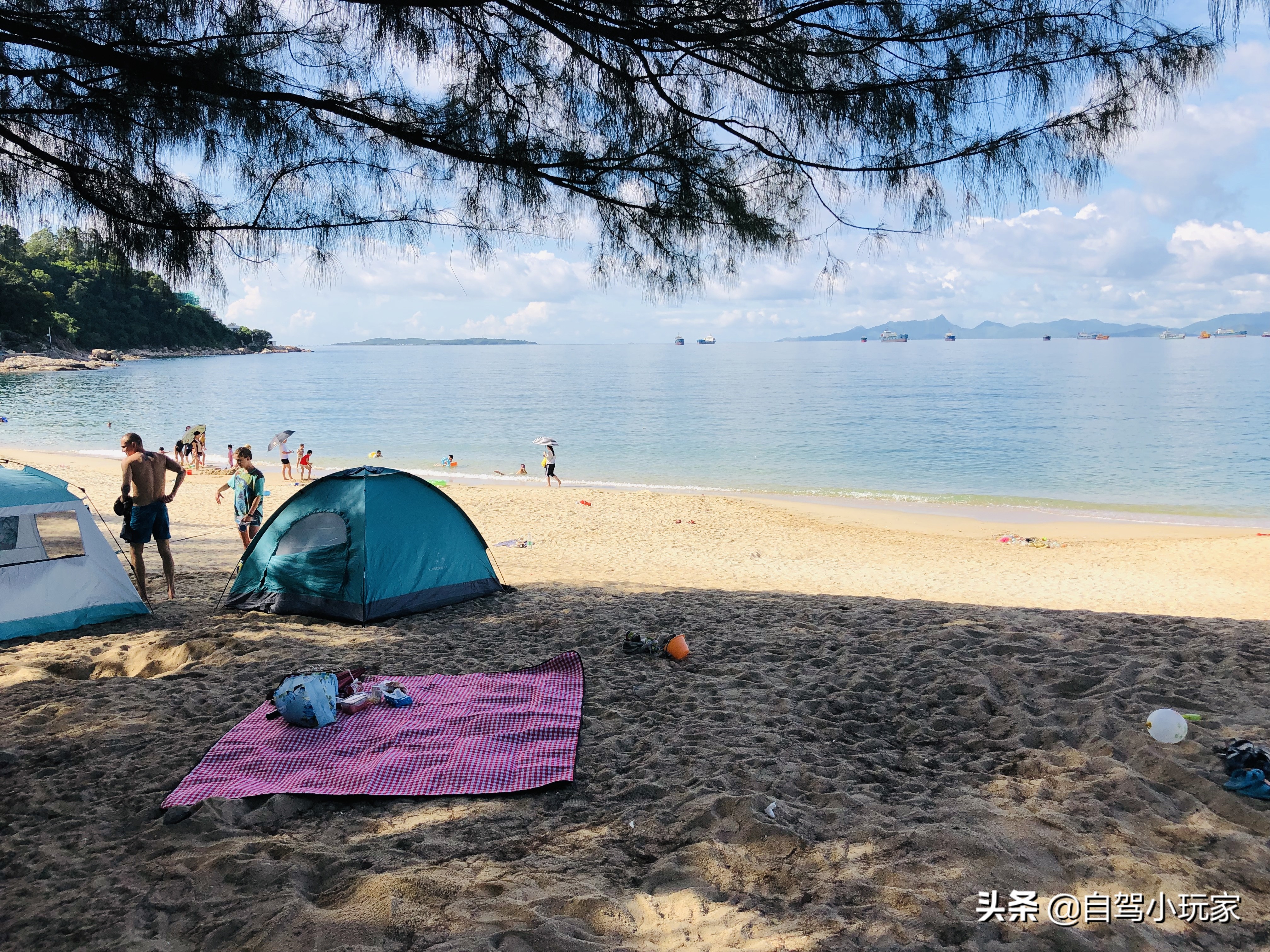 深圳有个“避暑”沙滩，人少干净又荫凉，知道的人不多，海钓很爽