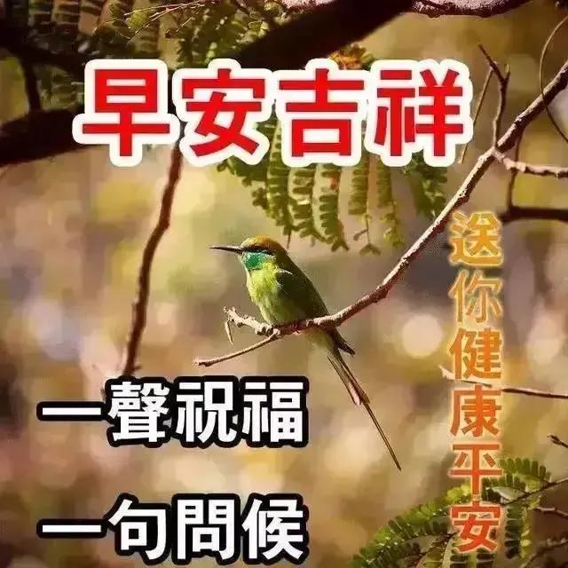 美女表情包：真正的绝望，是内心的迷茫