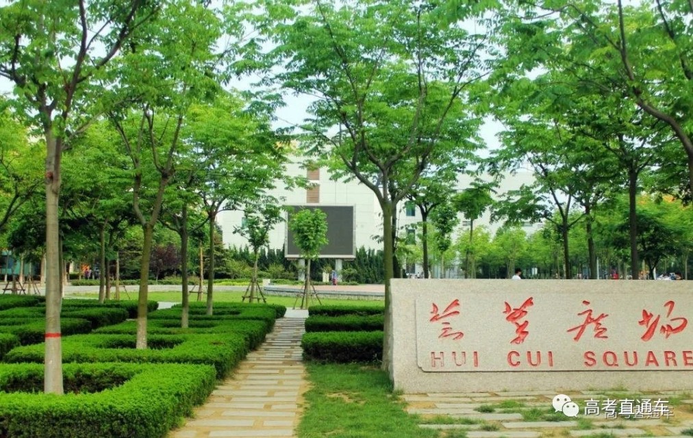 中国石油大学（华东）2019各省分专业分数线，你离心仪专业差几分