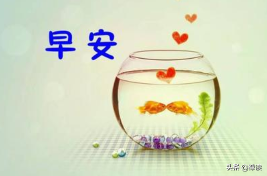 早安心语:万物皆不完美,人生总有缺憾