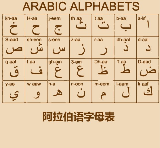 半分钟学会阿拉伯语