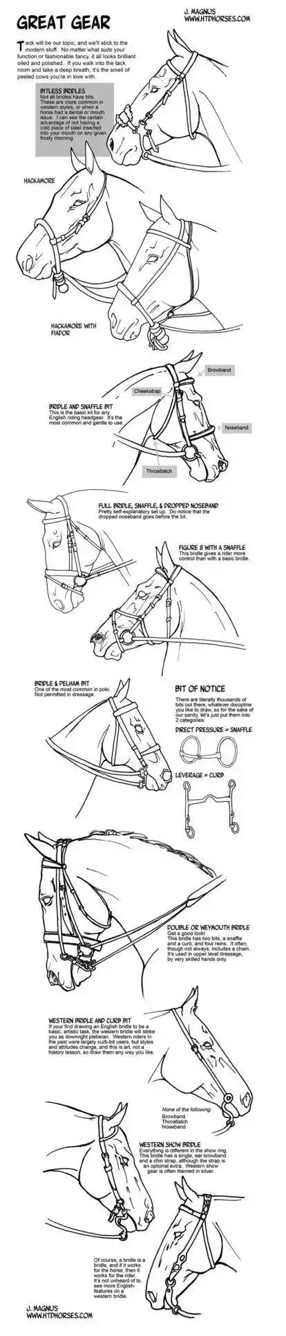 马很难画？那是你没有学过这些马的结构画法，从入门到基础，收藏